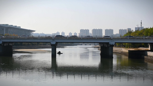 城市桥上车流川流不息河流流淌视频