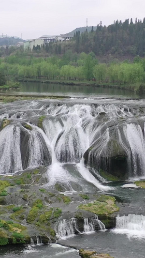 贵州安顺黄果树景区陡坡塘瀑布自然风光31秒视频