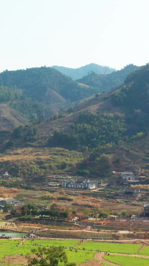 航拍华安大地土楼群55秒视频