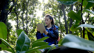 女孩坐在树上对照着植被看数据资料29秒视频