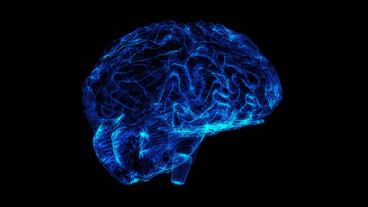 4K透明通道全息粒子大脑视频素材视频