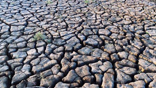 天气干旱旱涝土地裂缝缺水实拍视频