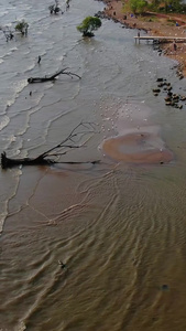 航拍云南昆明王官湿地公园视频旅游观光视频