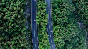 树木环绕的高速公路15秒视频