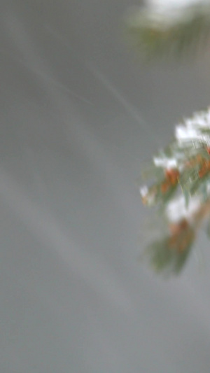 山里大雪26秒视频