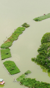 航拍惠州西湖鹤屿白鹤保护基地5A景点视频