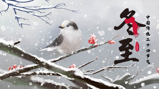 冬至节气雪中小鸟简约片头视频