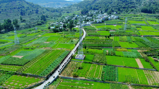 山区农田2视频