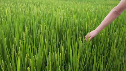 空中的风景视频