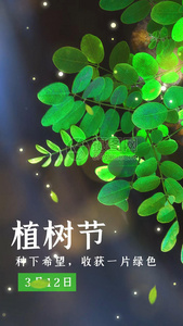 清新植树节竖版视频海报[彩版]视频