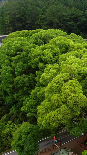 5A景区古田旅游景区古田会议纪念馆航拍视频风景名胜41秒视频