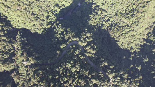 高山森林植物大好河山信号塔航拍视频