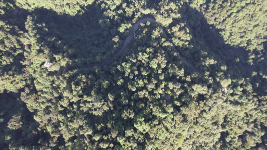 高山森林植物大好河山信号塔航拍视频