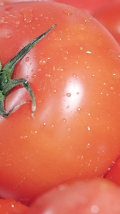 水流冲刷西红柿水果蔬菜电商元素视频