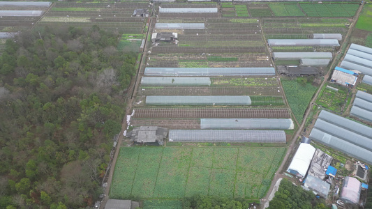 大棚农业种植蔬菜航拍 视频