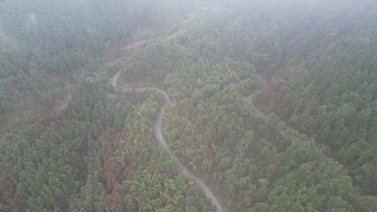 大自然绿色植物森林蜿蜒盘山公路云雾缭绕航拍 视频