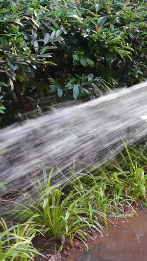 慢镜头城市保洁环卫工人洒水清洁浇水绿化植物素材保洁素材70秒视频