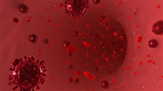 新冠病毒血小板血管流动AE工程视频