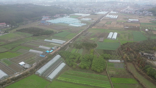 农田农业种植农作物航拍视频