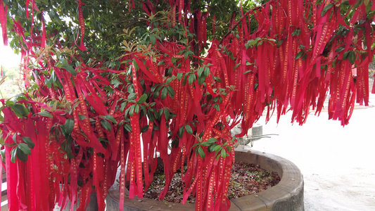 寺庙祈福红丝带实拍 视频