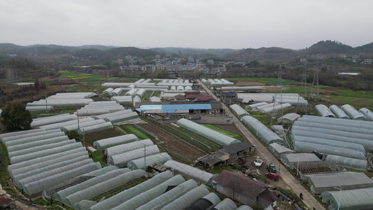 乡村农田农业种植大棚蔬菜航拍视频