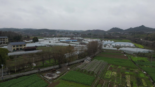 乡村农田农业种植大棚蔬菜航拍视频