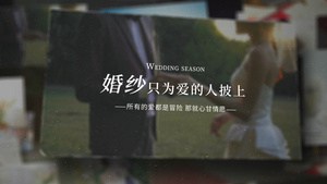 温馨简约爱情婚纱照片宣传展示AE模板67秒视频