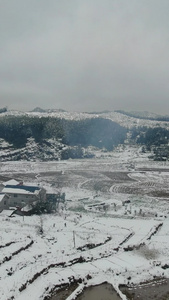 农业种植农田冬天雪景航拍视频