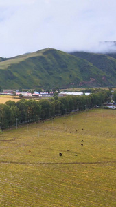 航拍中国西部高原乡村农业基地西部旅游视频