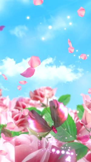 浪漫粉色玫瑰花海背景视频婚礼背景20秒视频