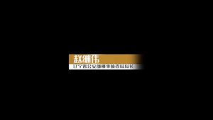 pr字幕标题文字角标PR模板16秒视频