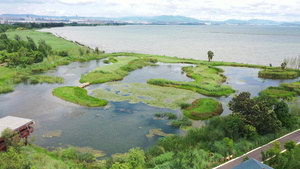 4K昆明宝丰半岛湿地公园18秒视频