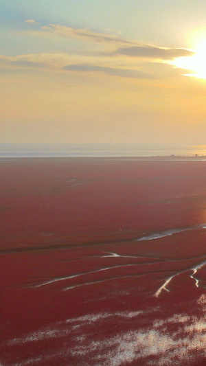 红海滩国家风景廊道湿地5A级风景区落日夕阳云层湿地资源34秒视频