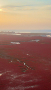 红海滩国家风景廊道湿地5A级风景区落日夕阳云层浅海滩涂视频