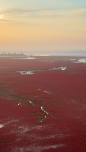 红海滩国家风景廊道湿地5A级风景区落日夕阳云层浅海滩涂34秒视频