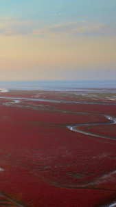 红海滩国家风景廊道湿地5A级风景区落日夕阳云层盘锦市视频