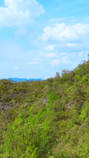 震撼航拍世界自然遗产贵州施秉云台山26秒视频