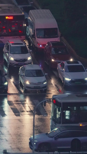 城市夜景道路交通红绿灯斑马线汽车街景素材人行道51秒视频