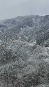 高清竖屏航拍广西桂林资源梯田雾凇雪景视频