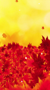 唯美的金秋枫叶背景素材秋天背景视频
