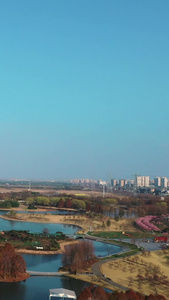 上海浦江郊野公园城市风光视频