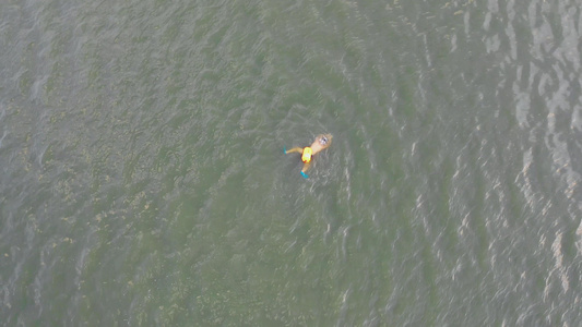 航拍夏天在江河里游泳的人4K素材视频