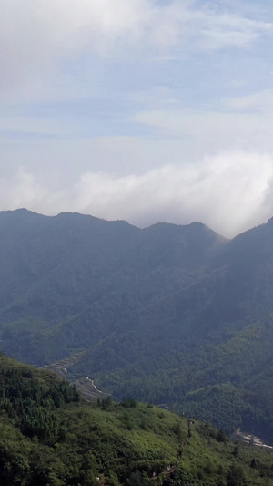 航拍山谷云雾缭绕航拍森林24秒视频