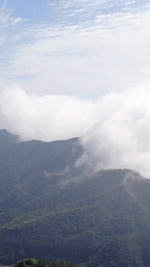 航拍山谷云雾缭绕航拍森林24秒视频