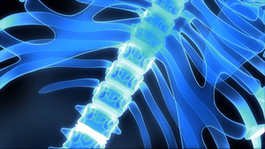 人体骨架视频30秒视频