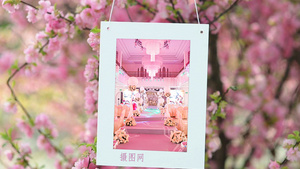 樱花背景的婚礼旅游照片展示AECC201739秒视频