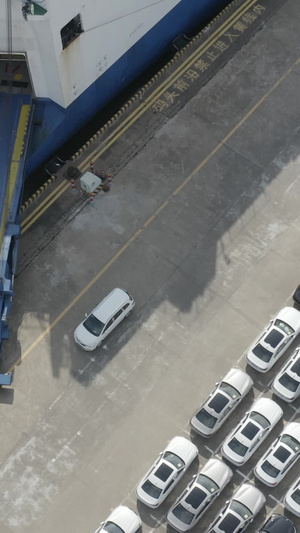 金融贸易运输的汽车货运码头汽车背景48秒视频