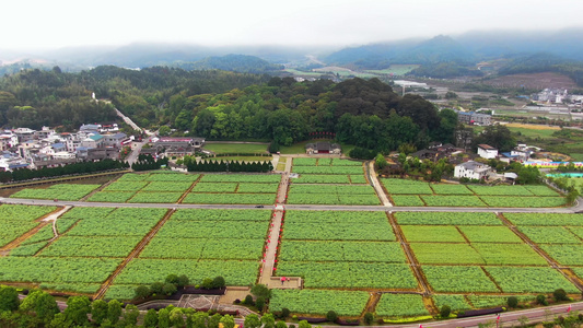 航拍5A景区古田旅游区全景视频视频