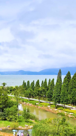 云南王宫湿地公园滇池风景航拍航拍云南43秒视频
