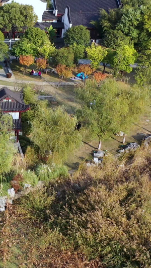 航拍武汉沙湖公园园林12秒视频